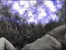 Качественные задачи и вопросы по физике FizPortal Картинки на прозрачном фоне к 8 марта Для сайта Pinterest